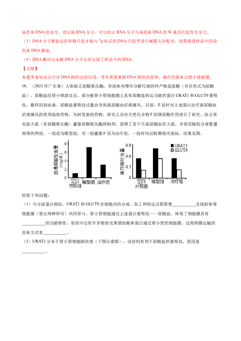 专题15实验与探究-三年（2020-2022）高考真题生物分项汇编（全国通用）（解析版）_高考真题分类汇编(2012-2022)生物_高考真题分项汇编(2020-2022)生物