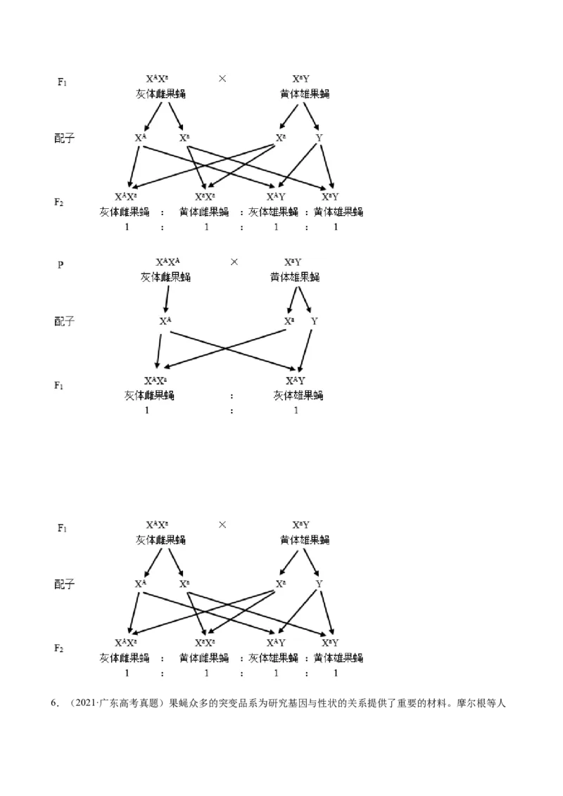 专题17遗传的基本定律综合-十年（2012-2021）高考生物真题分项汇编（全国通用）（原卷版）_高考真题分类汇编(2012-2022)生物_高考真题分项汇编(2012-2021)生物