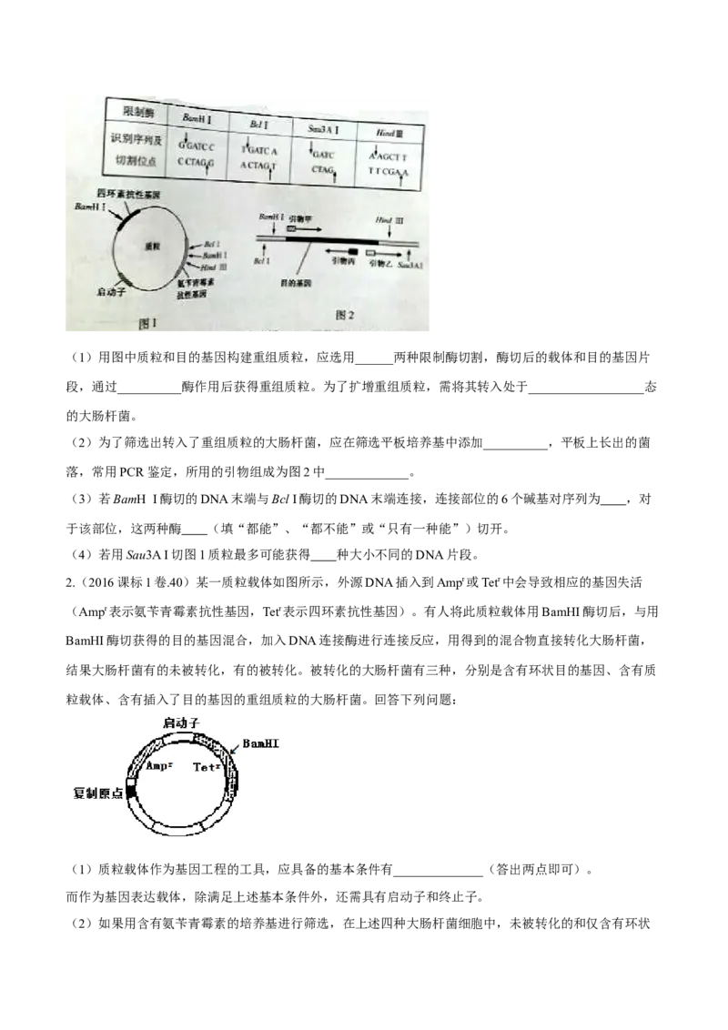 专题12现代生物科技专题-十年（2012-2021）高考生物真题分项汇编（全国通用）（原卷版）_高考真题分类汇编(2012-2022)生物_高考真题分项汇编(2012-2021)生物