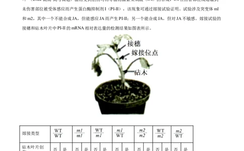 专题10植物生命活动的调节-三年（2020-2022）高考真题生物分项汇编（全国通用）（原卷版）_高考真题分类汇编(2012-2022)生物_高考真题分项汇编(2020-2022)生物