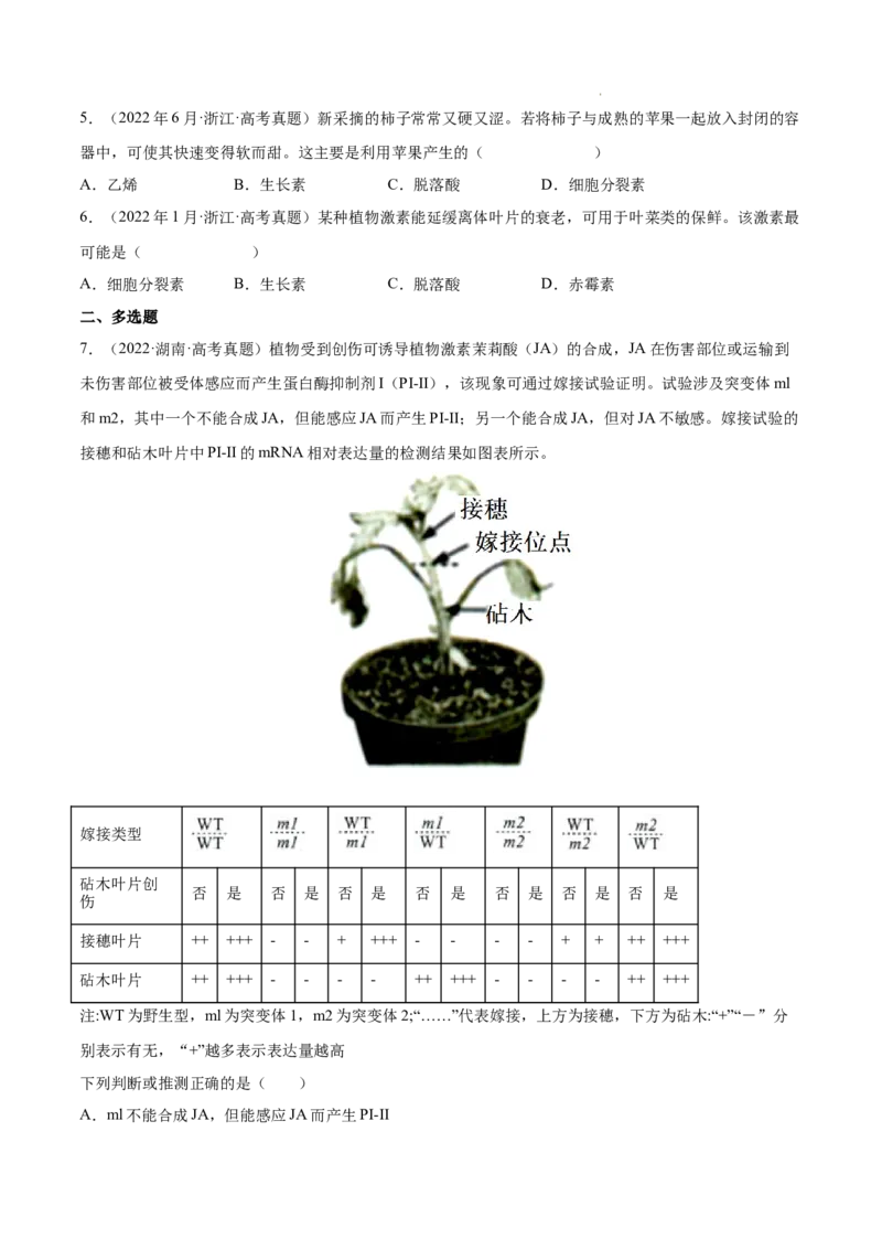 专题10植物生命活动的调节-三年（2020-2022）高考真题生物分项汇编（全国通用）（原卷版）_高考真题分类汇编(2012-2022)生物_高考真题分项汇编(2020-2022)生物