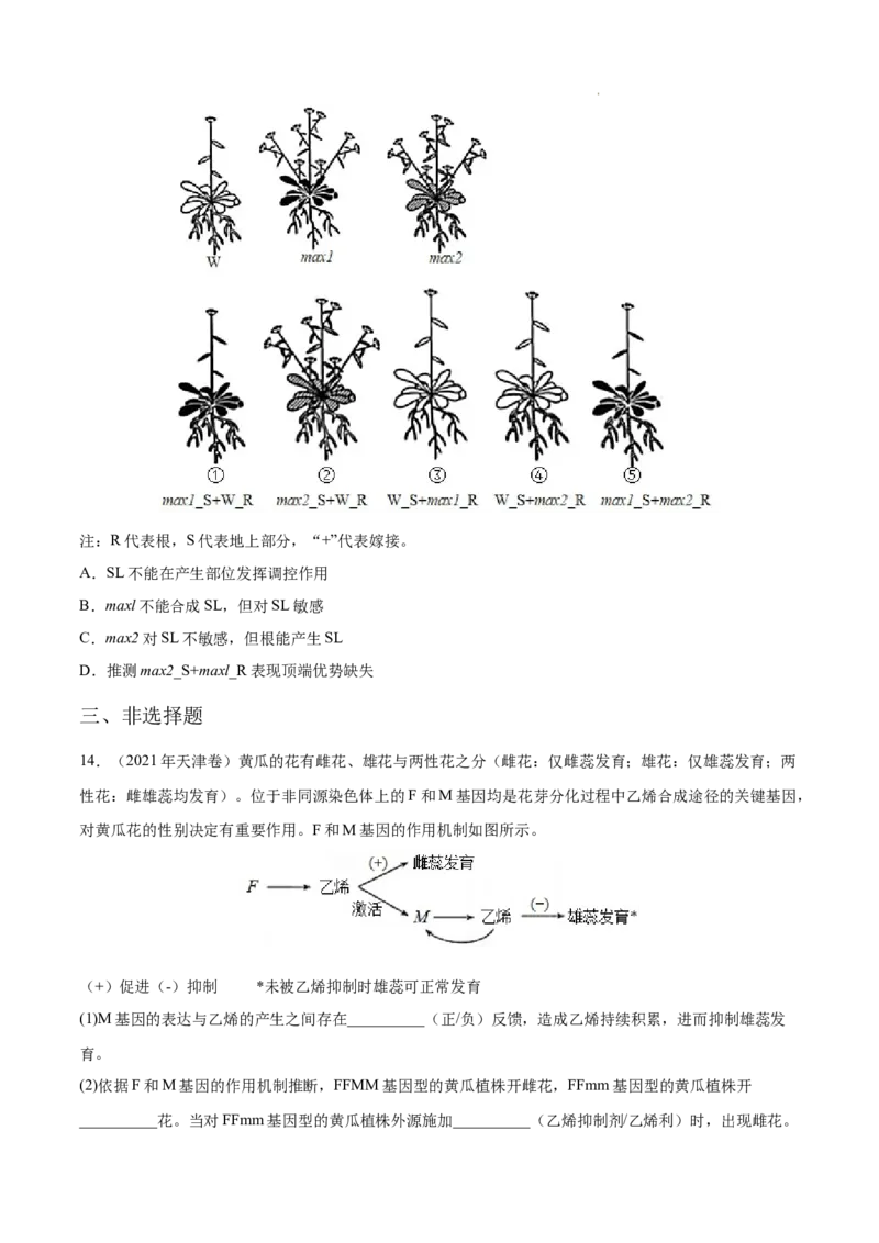 专题10植物生命活动的调节-三年（2020-2022）高考真题生物分项汇编（全国通用）（原卷版）_高考真题分类汇编(2012-2022)生物_高考真题分项汇编(2020-2022)生物