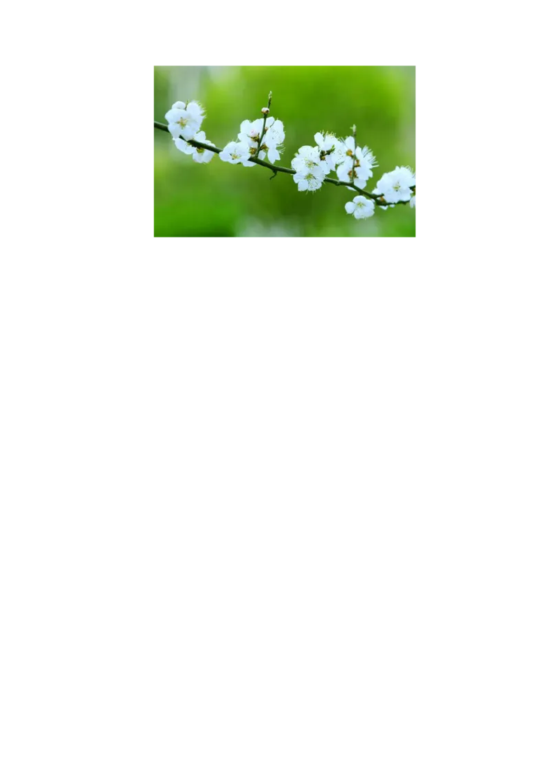 解密16热学（解析版）-高频考点解密2021年高考物理二轮复习讲义+分层训练_新高考复习资料_2021年新高考资料_高频考点解密2021年高考物理二轮复习讲义+分层训练