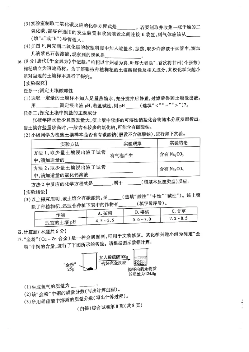 2025年甘肃省白银市中考化学真题_5.2015-2025年中考化学_5.2025各省市化学_甘肃