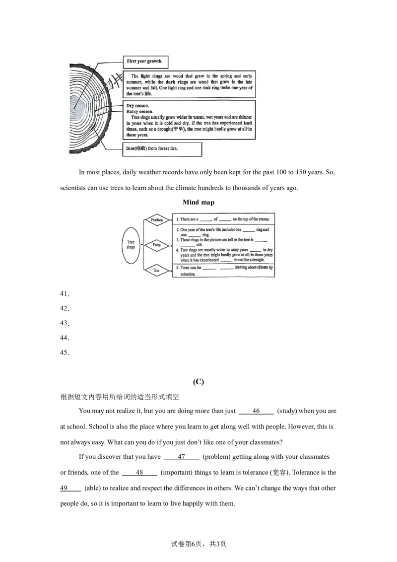2025年黑龙江省绥化市中考英语真题_3.2015-2025年中考英语_1.2025各省市英语_3.2025各省市英语_黑龙江