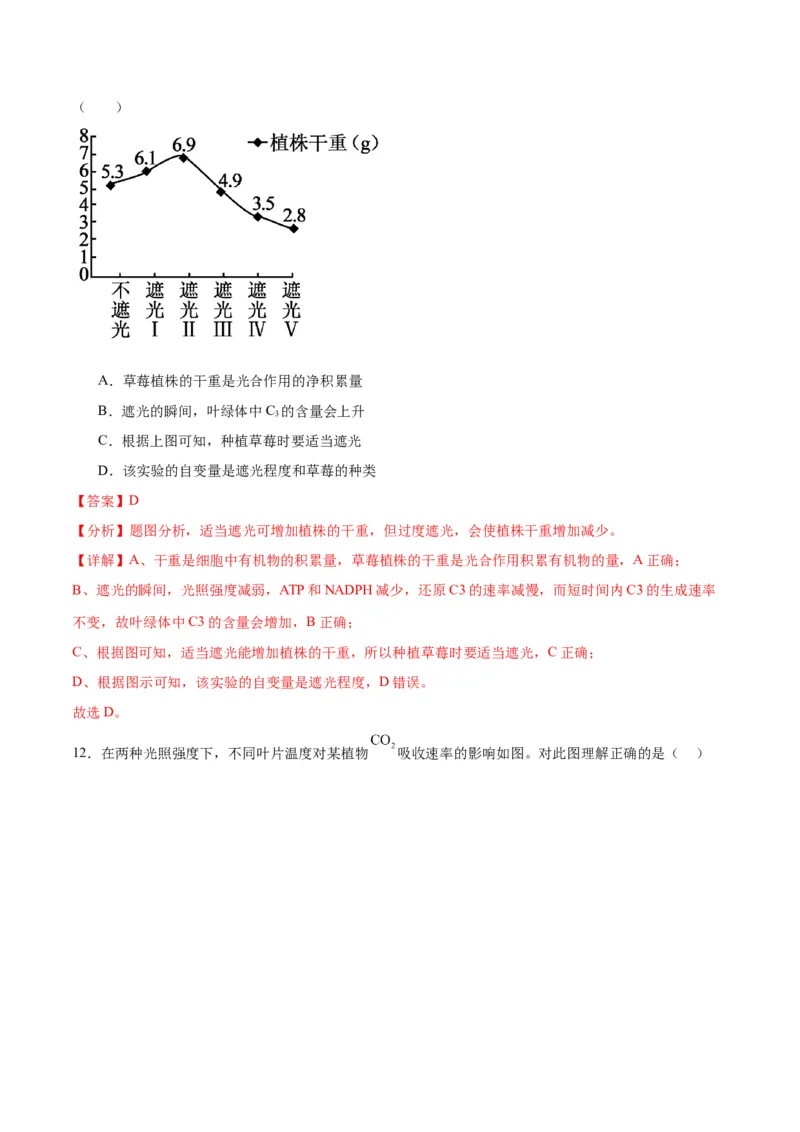 专题10光合作用（解析版)_2024年新高考资料_3.2024专项复习_备战2024年高考生物一轮复习重难点专项突破_专题10光合作用-备战2024年高考生物一轮复习重难点专项突破