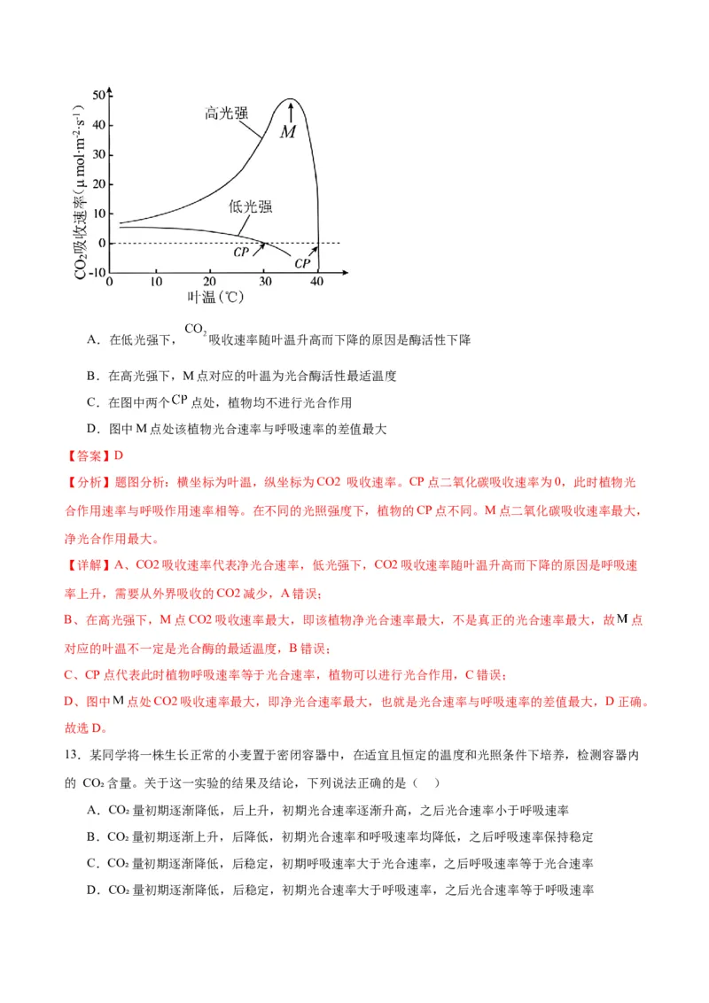 专题10光合作用（解析版)_2024年新高考资料_3.2024专项复习_备战2024年高考生物一轮复习重难点专项突破_专题10光合作用-备战2024年高考生物一轮复习重难点专项突破