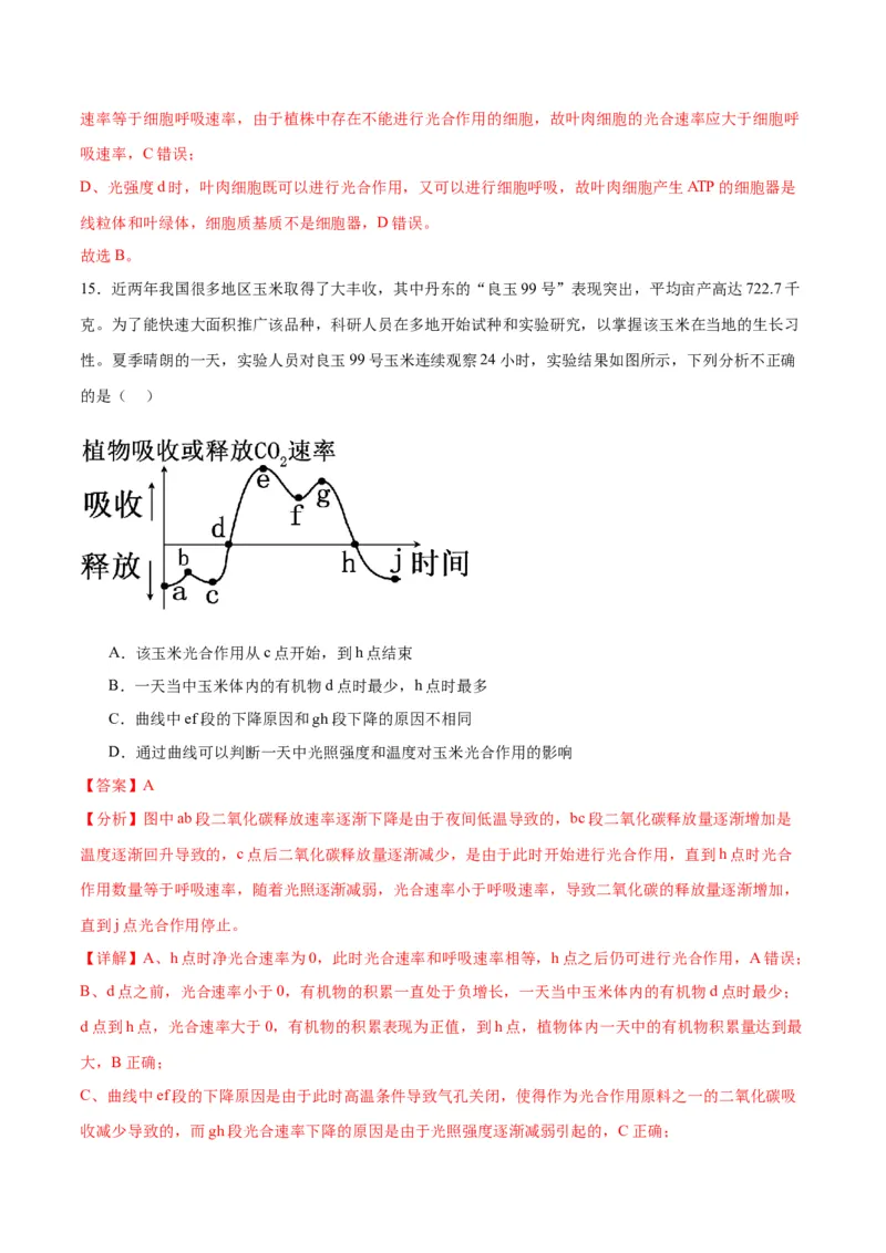 专题10光合作用（解析版)_2024年新高考资料_3.2024专项复习_备战2024年高考生物一轮复习重难点专项突破_专题10光合作用-备战2024年高考生物一轮复习重难点专项突破