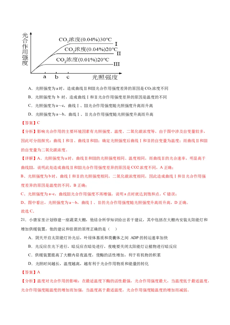 专题10光合作用（解析版)_2024年新高考资料_3.2024专项复习_备战2024年高考生物一轮复习重难点专项突破_专题10光合作用-备战2024年高考生物一轮复习重难点专项突破