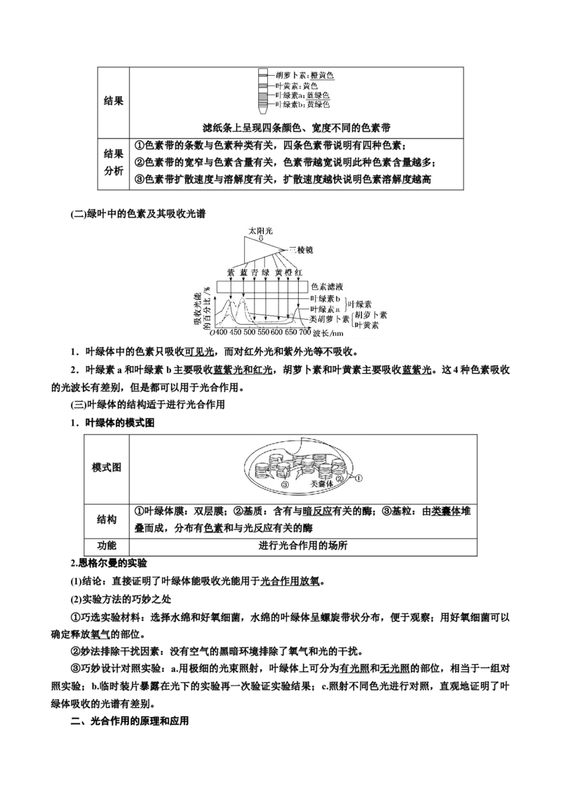 专题10光合作用（解析版)_2024年新高考资料_3.2024专项复习_备战2024年高考生物一轮复习重难点专项突破_专题10光合作用-备战2024年高考生物一轮复习重难点专项突破