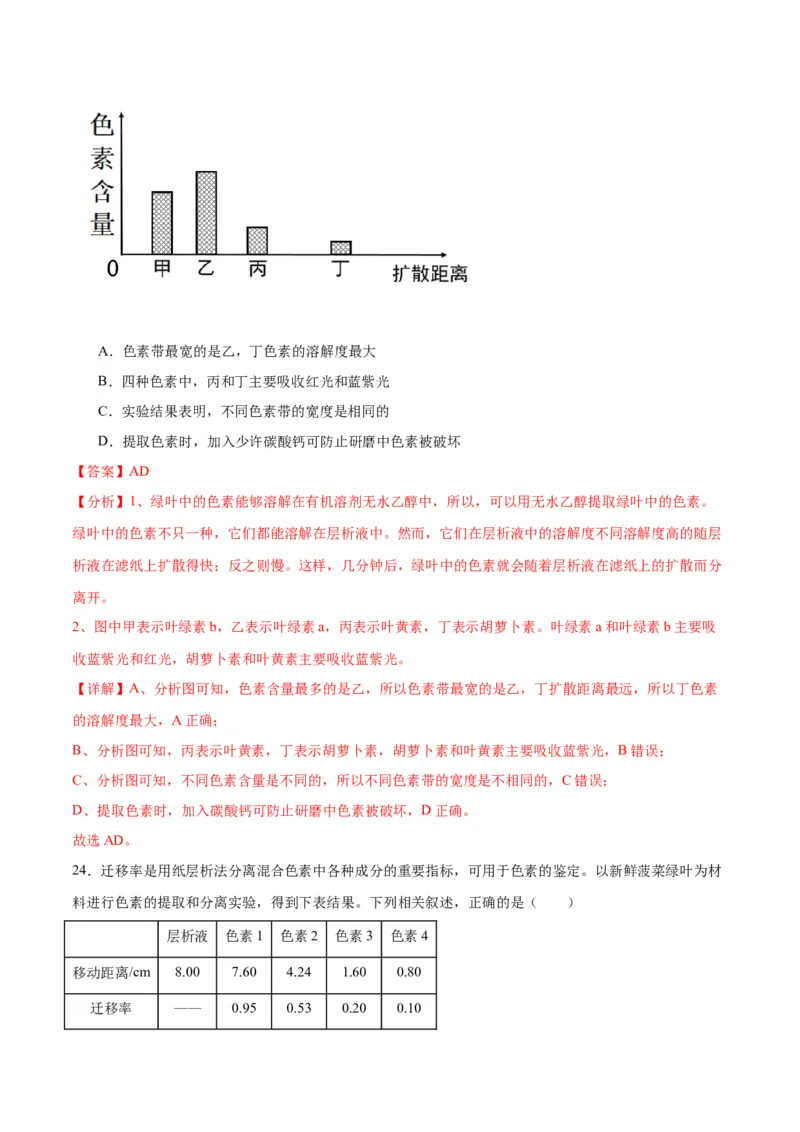 专题10光合作用（解析版)_2024年新高考资料_3.2024专项复习_备战2024年高考生物一轮复习重难点专项突破_专题10光合作用-备战2024年高考生物一轮复习重难点专项突破