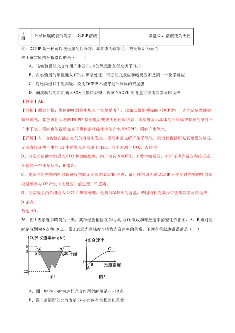 专题10光合作用（解析版)_2024年新高考资料_3.2024专项复习_备战2024年高考生物一轮复习重难点专项突破_专题10光合作用-备战2024年高考生物一轮复习重难点专项突破