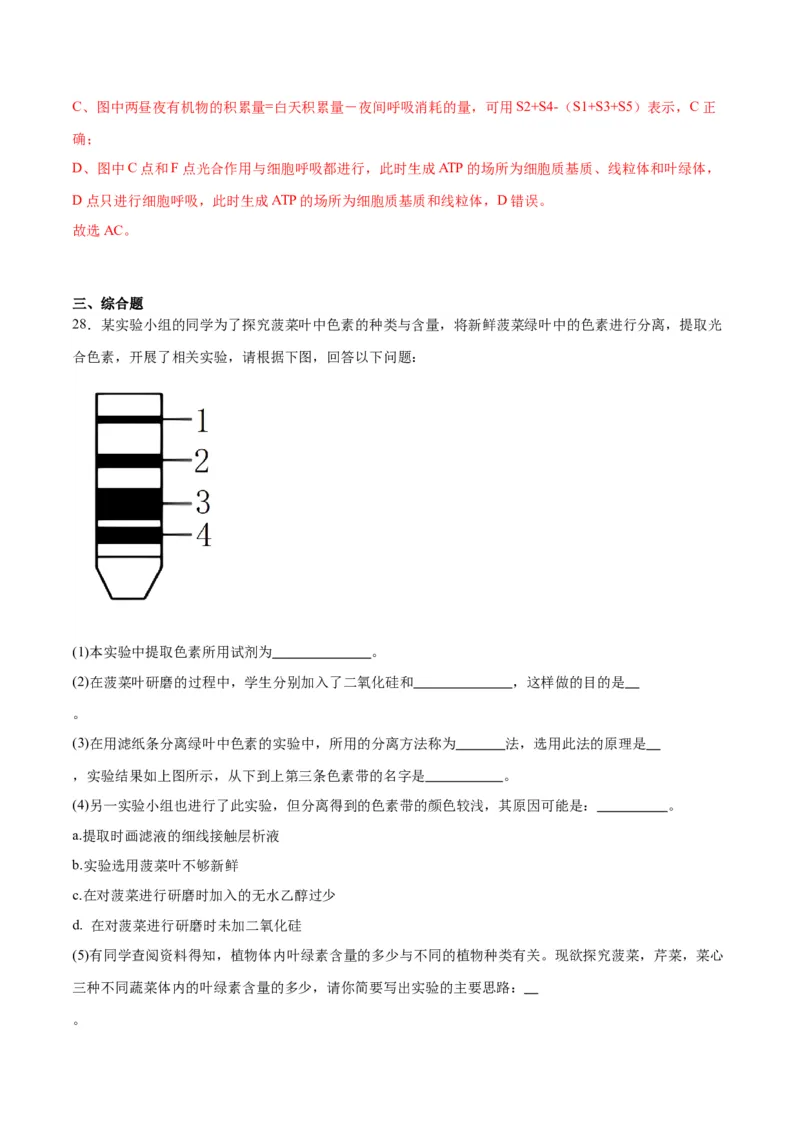 专题10光合作用（解析版)_2024年新高考资料_3.2024专项复习_备战2024年高考生物一轮复习重难点专项突破_专题10光合作用-备战2024年高考生物一轮复习重难点专项突破