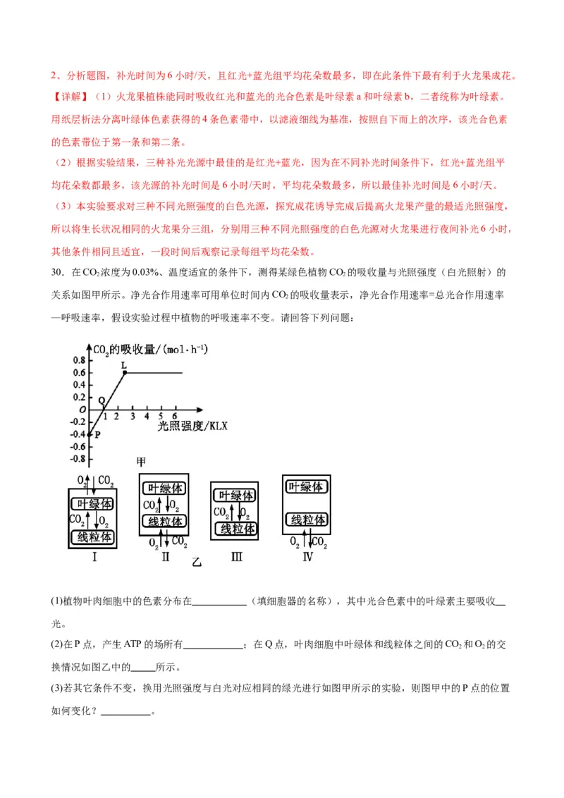 专题10光合作用（解析版)_2024年新高考资料_3.2024专项复习_备战2024年高考生物一轮复习重难点专项突破_专题10光合作用-备战2024年高考生物一轮复习重难点专项突破