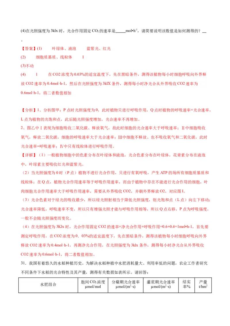 专题10光合作用（解析版)_2024年新高考资料_3.2024专项复习_备战2024年高考生物一轮复习重难点专项突破_专题10光合作用-备战2024年高考生物一轮复习重难点专项突破