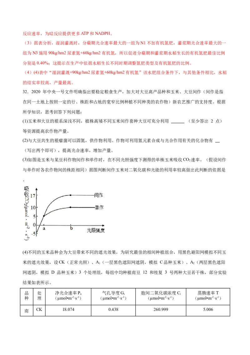 专题10光合作用（解析版)_2024年新高考资料_3.2024专项复习_备战2024年高考生物一轮复习重难点专项突破_专题10光合作用-备战2024年高考生物一轮复习重难点专项突破
