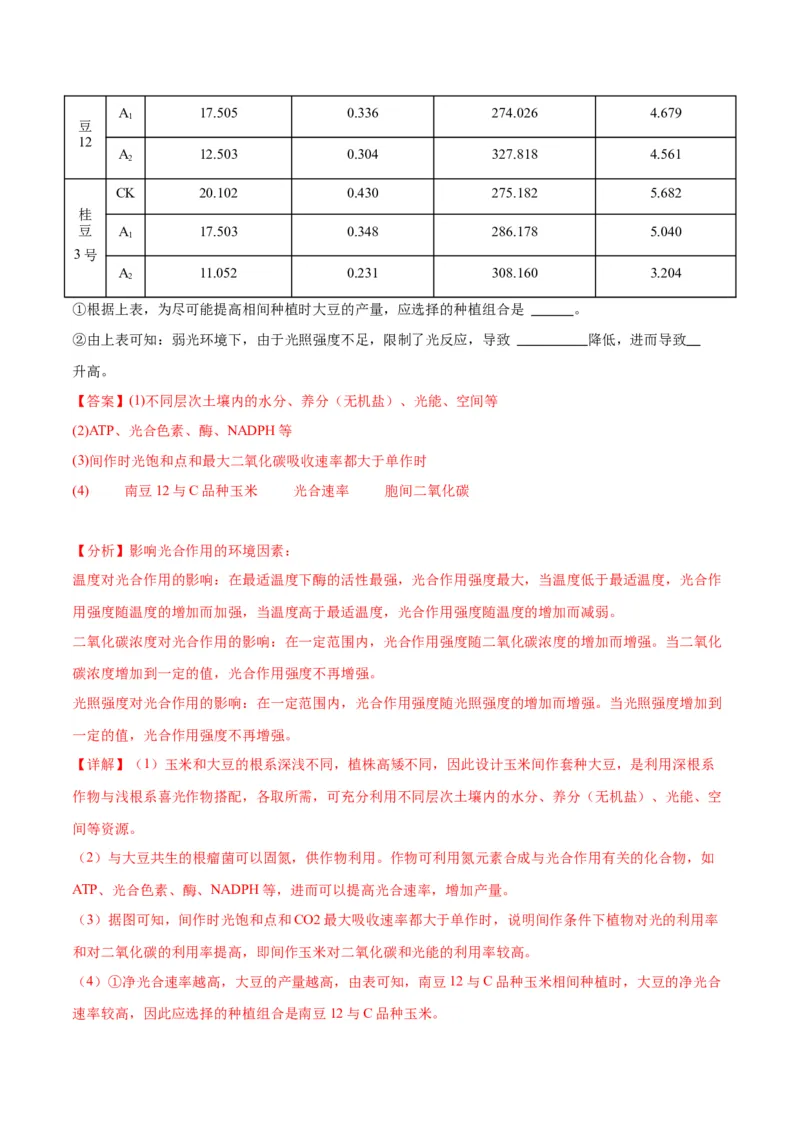 专题10光合作用（解析版)_2024年新高考资料_3.2024专项复习_备战2024年高考生物一轮复习重难点专项突破_专题10光合作用-备战2024年高考生物一轮复习重难点专项突破