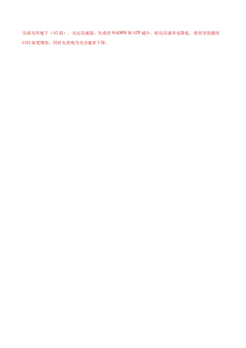 专题10光合作用（解析版)_2024年新高考资料_3.2024专项复习_备战2024年高考生物一轮复习重难点专项突破_专题10光合作用-备战2024年高考生物一轮复习重难点专项突破