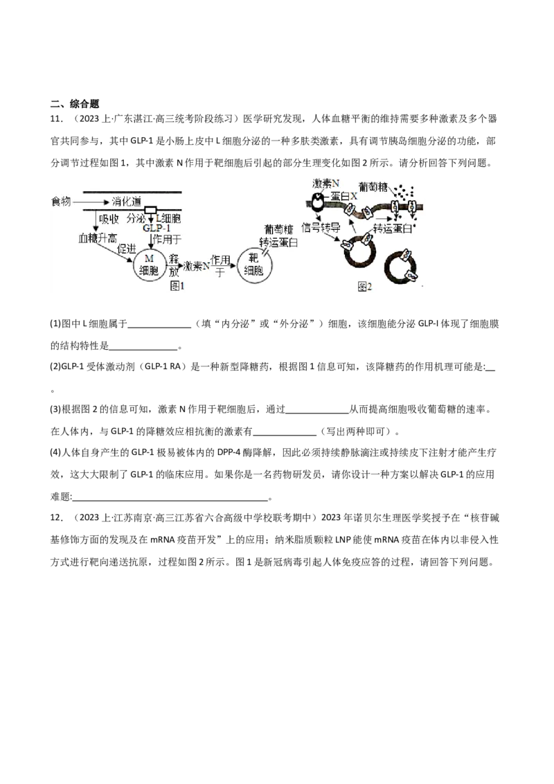 专题07动物生命活动调节（限时检测）_2024年新高考资料_3.2024专项复习_2024年高考生物热点&middot;重点&middot;难点专练（新高考专用）