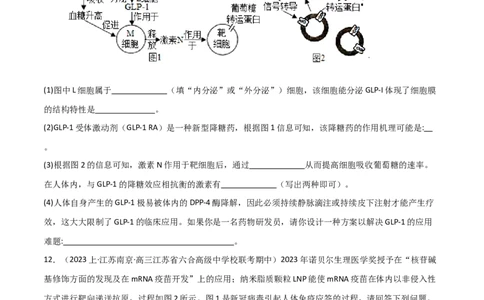 专题07动物生命活动调节（限时检测）_2024年新高考资料_3.2024专项复习_2024年高考生物热点&middot;重点&middot;难点专练（新高考专用）