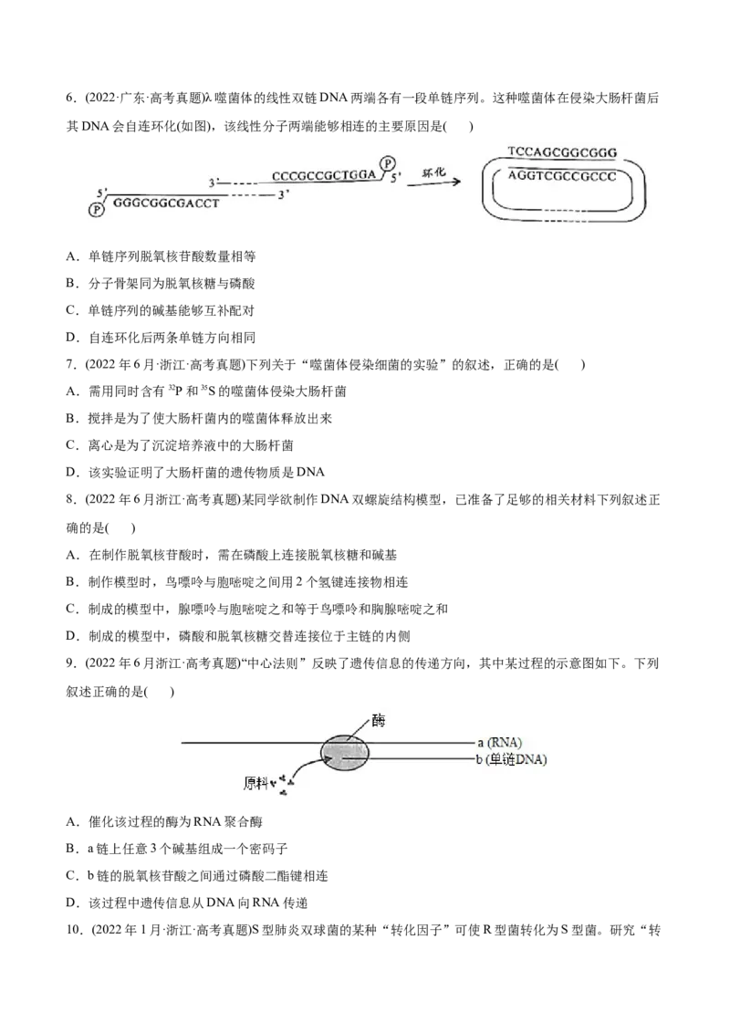 专题05遗传的分子基础-2022年高考真题和模拟题生物分专题训练（学生版）_2024年新高考资料_1.2024一轮复习_赠2022年高考生物真题与模拟题分类