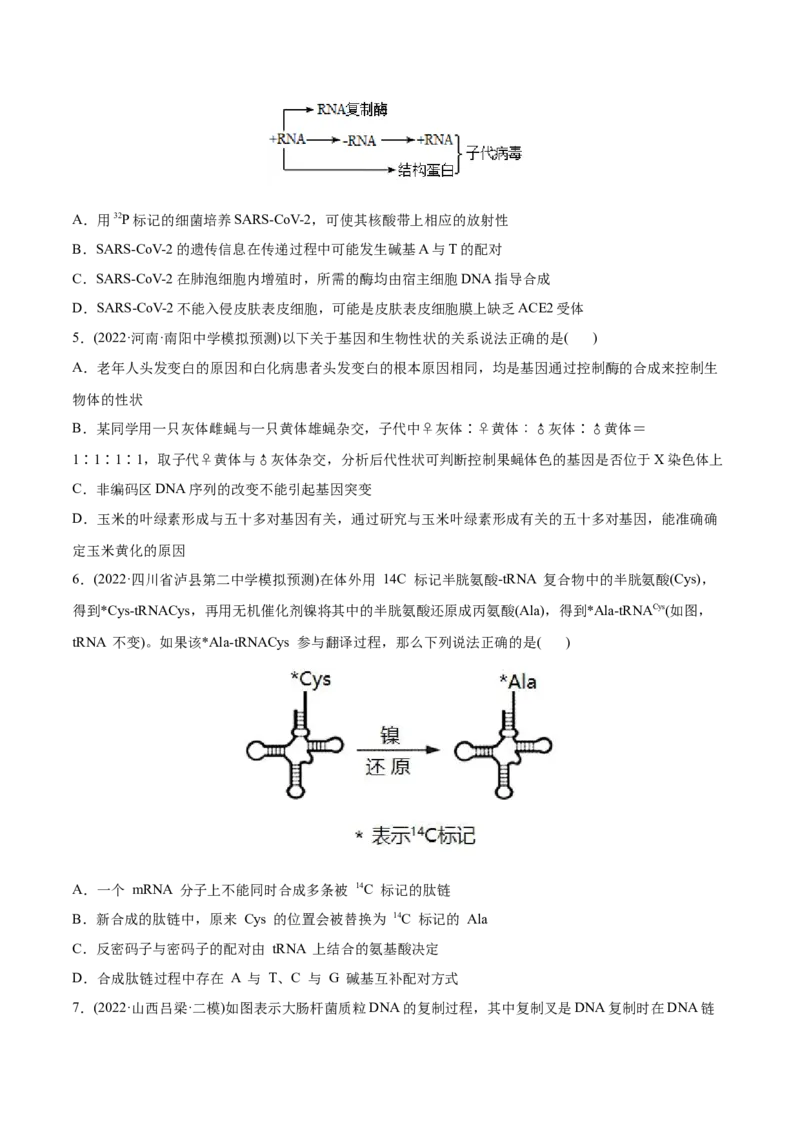 专题05遗传的分子基础-2022年高考真题和模拟题生物分专题训练（学生版）_2024年新高考资料_1.2024一轮复习_赠2022年高考生物真题与模拟题分类