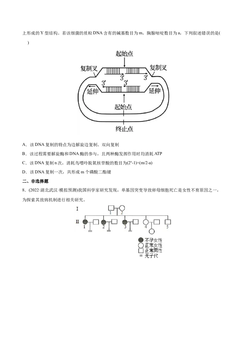 专题05遗传的分子基础-2022年高考真题和模拟题生物分专题训练（学生版）_2024年新高考资料_1.2024一轮复习_赠2022年高考生物真题与模拟题分类