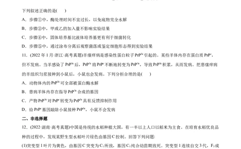 专题05遗传的分子基础-2022年高考真题和模拟题生物分专题训练（学生版）_2024年新高考资料_1.2024一轮复习_赠2022年高考生物真题与模拟题分类