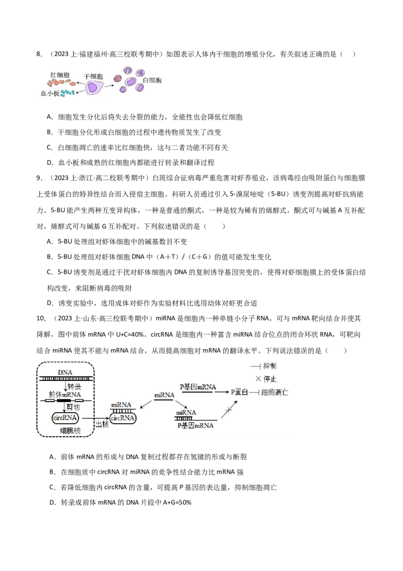 专题05遗传的分子基础（限时检测卷）_2024年新高考资料_3.2024专项复习_2024年高考生物热点&middot;重点&middot;难点专练（新高考专用）