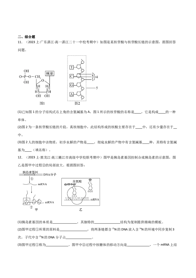 专题05遗传的分子基础（限时检测卷）_2024年新高考资料_3.2024专项复习_2024年高考生物热点&middot;重点&middot;难点专练（新高考专用）