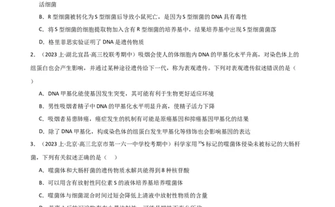 专题05遗传的分子基础（限时检测卷）_2024年新高考资料_3.2024专项复习_2024年高考生物热点&middot;重点&middot;难点专练（新高考专用）