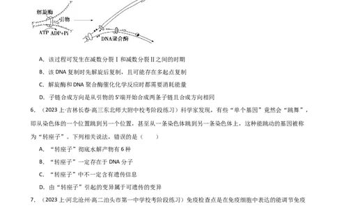 专题05遗传的分子基础（限时检测卷）_2024年新高考资料_3.2024专项复习_2024年高考生物热点&middot;重点&middot;难点专练（新高考专用）