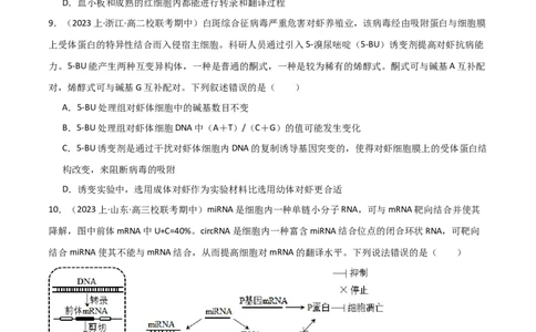 专题05遗传的分子基础（限时检测卷）_2024年新高考资料_3.2024专项复习_2024年高考生物热点&middot;重点&middot;难点专练（新高考专用）