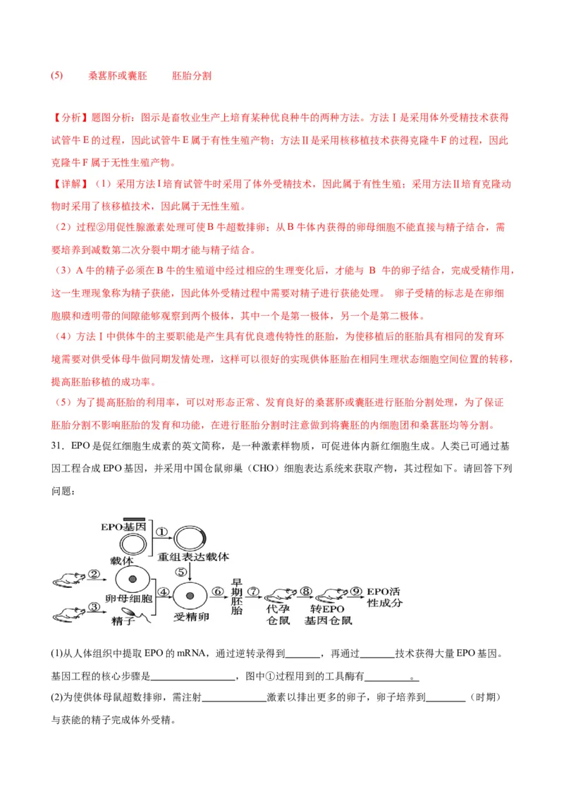 专题42胚胎工程（解析版）_2024年新高考资料_3.2024专项复习_备战2024年高考生物一轮复习重难点专项突破_专题42胚胎工程-备战2024年高考生物一轮复习重难点专项突破