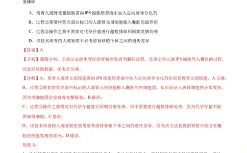 专题42胚胎工程（解析版）_2024年新高考资料_3.2024专项复习_备战2024年高考生物一轮复习重难点专项突破_专题42胚胎工程-备战2024年高考生物一轮复习重难点专项突破