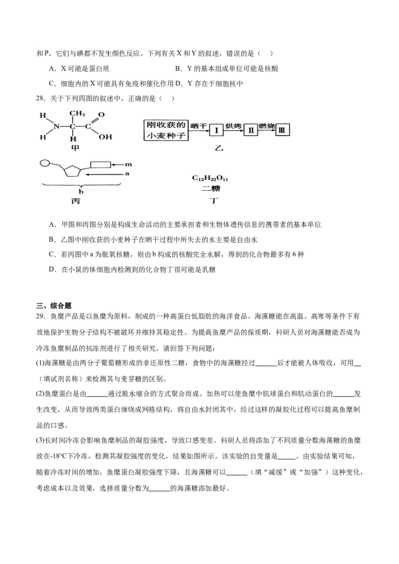 专题4蛋白质和核酸（原卷版)_2024年新高考资料_3.2024专项复习_备战2024年高考生物一轮复习重难点专项突破_专题04蛋白质和核酸-备战2024年高考生物一轮复习重难点专项突破