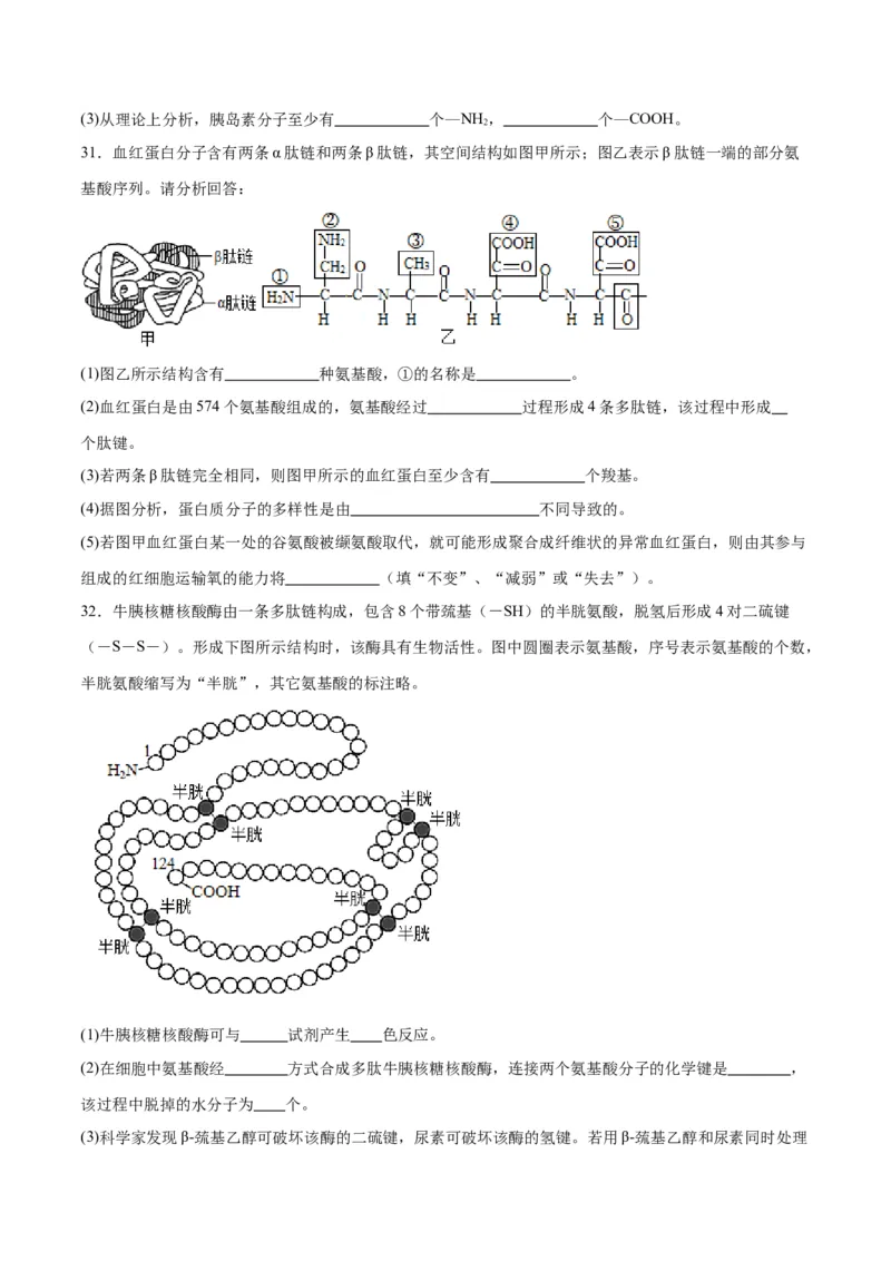 专题4蛋白质和核酸（原卷版)_2024年新高考资料_3.2024专项复习_备战2024年高考生物一轮复习重难点专项突破_专题04蛋白质和核酸-备战2024年高考生物一轮复习重难点专项突破