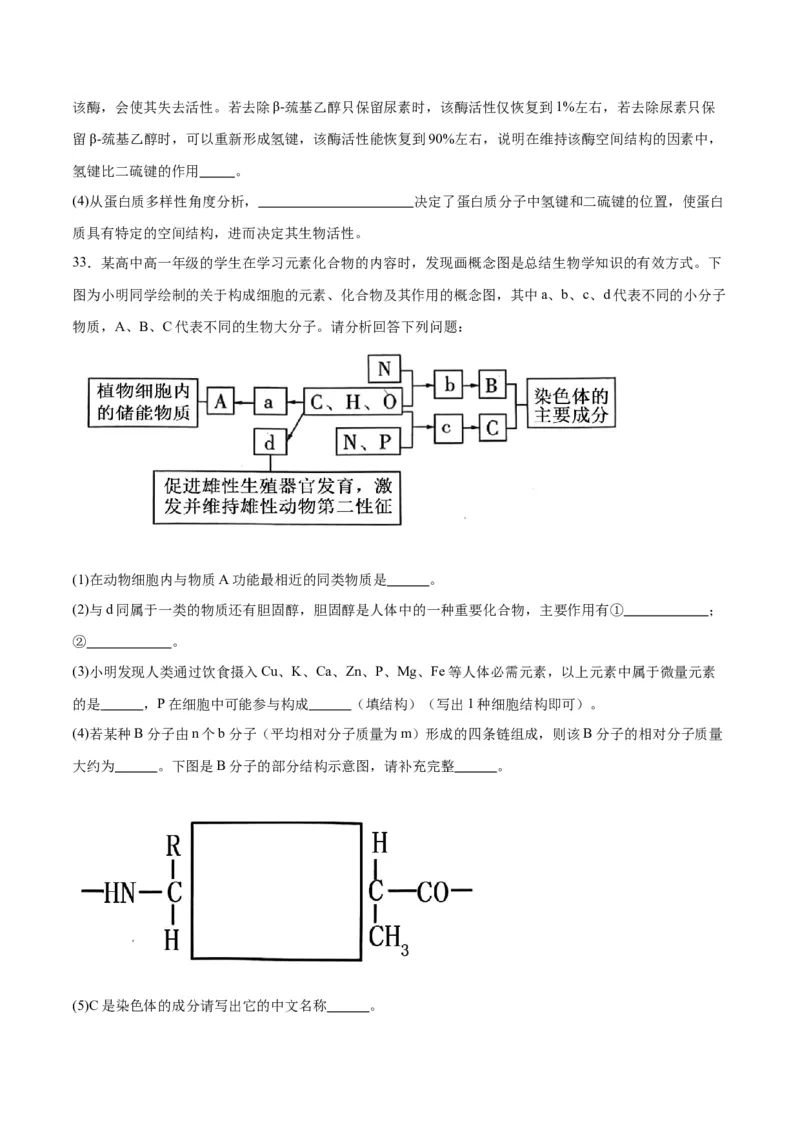 专题4蛋白质和核酸（原卷版)_2024年新高考资料_3.2024专项复习_备战2024年高考生物一轮复习重难点专项突破_专题04蛋白质和核酸-备战2024年高考生物一轮复习重难点专项突破