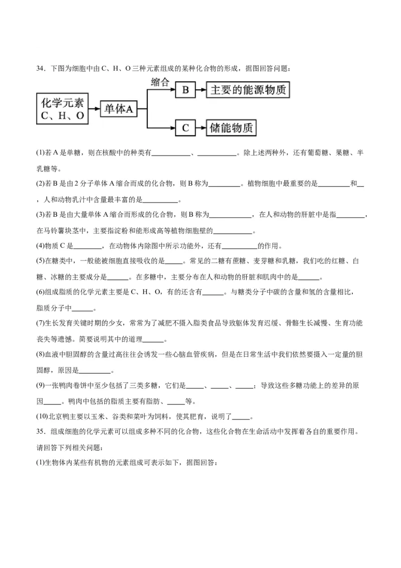 专题4蛋白质和核酸（原卷版)_2024年新高考资料_3.2024专项复习_备战2024年高考生物一轮复习重难点专项突破_专题04蛋白质和核酸-备战2024年高考生物一轮复习重难点专项突破