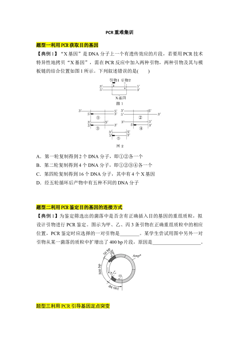 专题八PCR重难集训（原卷版）_2024年新高考资料_5.2024三轮冲刺_2024年高考生物考前最后冲刺