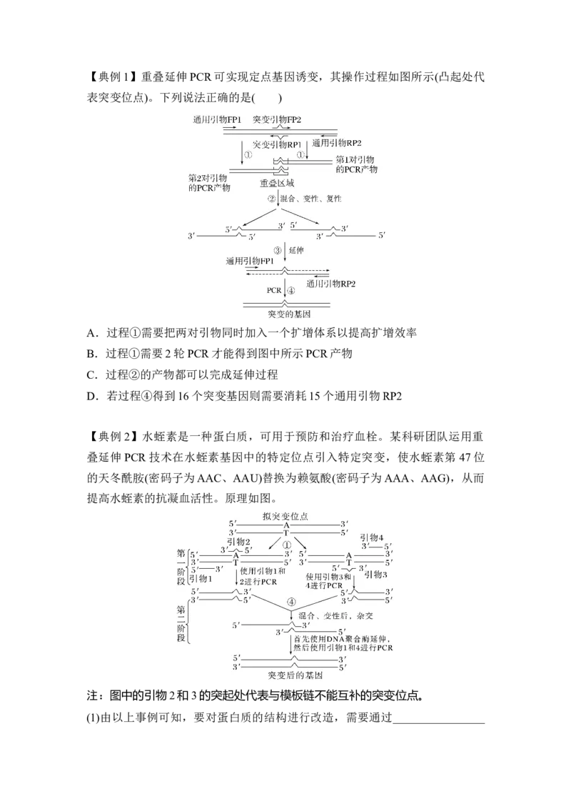 专题八PCR重难集训（原卷版）_2024年新高考资料_5.2024三轮冲刺_2024年高考生物考前最后冲刺