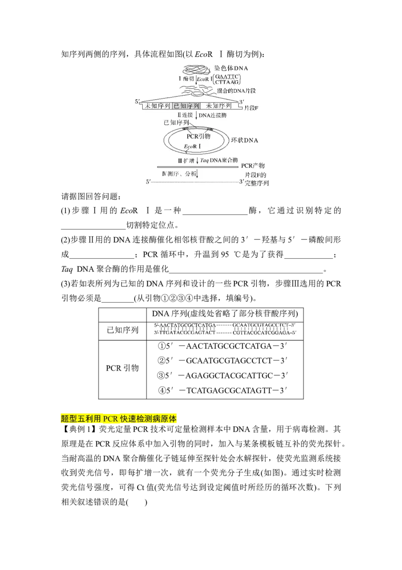 专题八PCR重难集训（原卷版）_2024年新高考资料_5.2024三轮冲刺_2024年高考生物考前最后冲刺