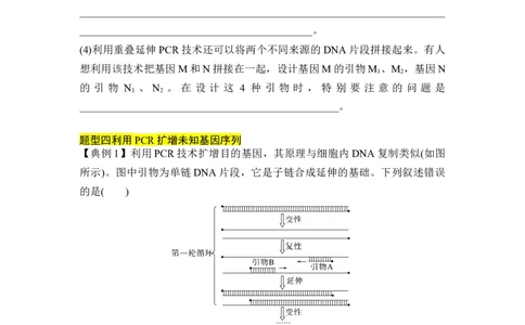 专题八PCR重难集训（原卷版）_2024年新高考资料_5.2024三轮冲刺_2024年高考生物考前最后冲刺