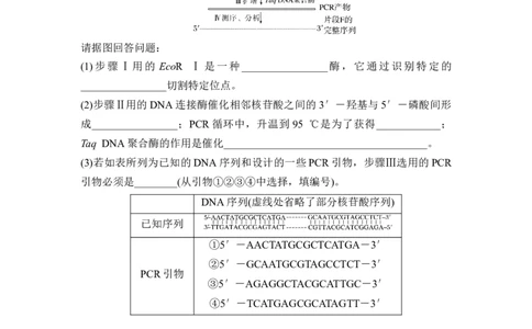 专题八PCR重难集训（原卷版）_2024年新高考资料_5.2024三轮冲刺_2024年高考生物考前最后冲刺