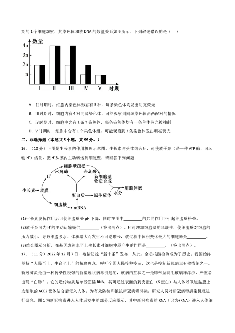 单元检测卷06遗传的物质基础（原卷版）_2024年新高考资料_1.2024一轮复习_2024年高考生物一轮复习考点通关卷（新高考通用）