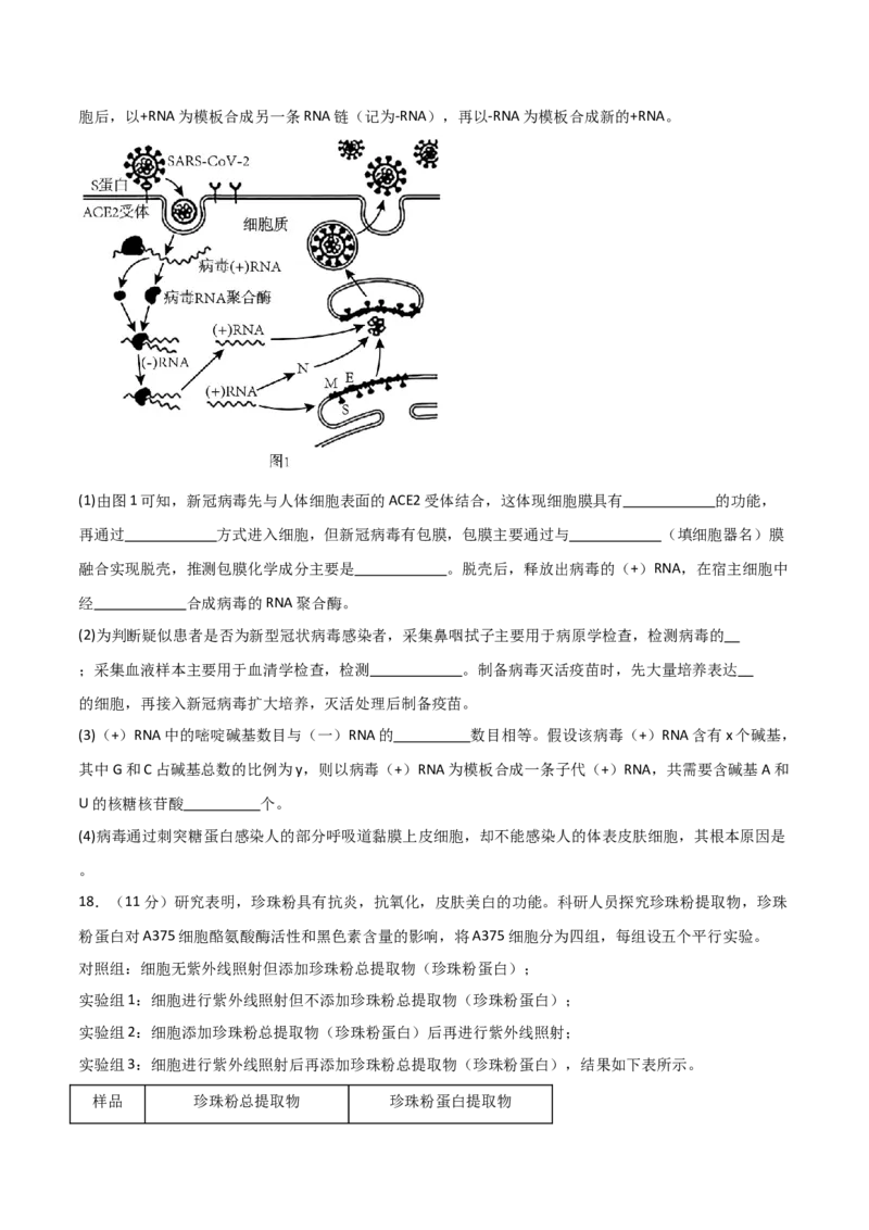 单元检测卷06遗传的物质基础（原卷版）_2024年新高考资料_1.2024一轮复习_2024年高考生物一轮复习考点通关卷（新高考通用）