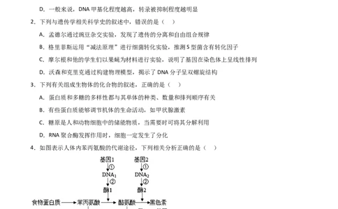 单元检测卷06遗传的物质基础（原卷版）_2024年新高考资料_1.2024一轮复习_2024年高考生物一轮复习考点通关卷（新高考通用）