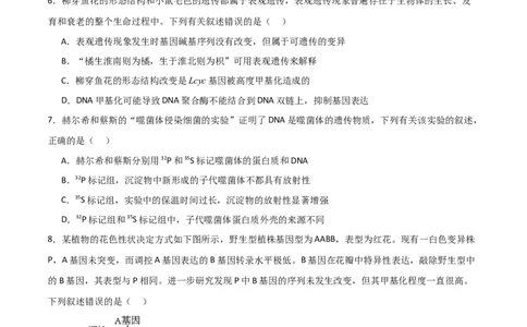 单元检测卷06遗传的物质基础（原卷版）_2024年新高考资料_1.2024一轮复习_2024年高考生物一轮复习考点通关卷（新高考通用）