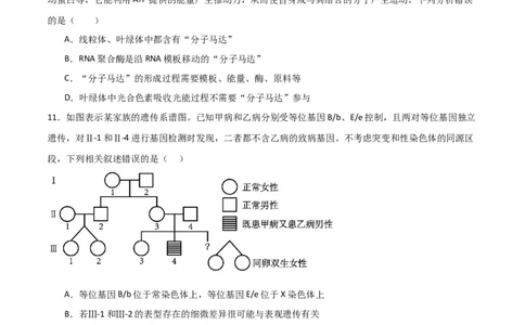 单元检测卷06遗传的物质基础（原卷版）_2024年新高考资料_1.2024一轮复习_2024年高考生物一轮复习考点通关卷（新高考通用）