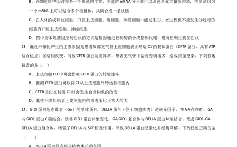 单元检测卷06遗传的物质基础（原卷版）_2024年新高考资料_1.2024一轮复习_2024年高考生物一轮复习考点通关卷（新高考通用）